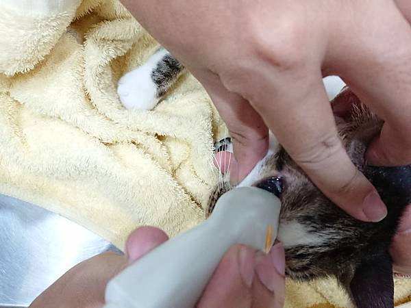 20170827 #1_170828_0020.jpg 20170827 #1_170828_0020.jpg