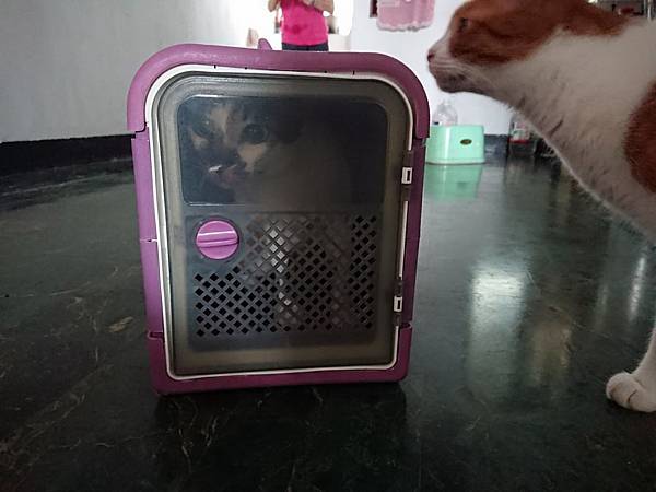 20170827 #1_170828_0055.jpg 20170827 #1_170828_0055.jpg