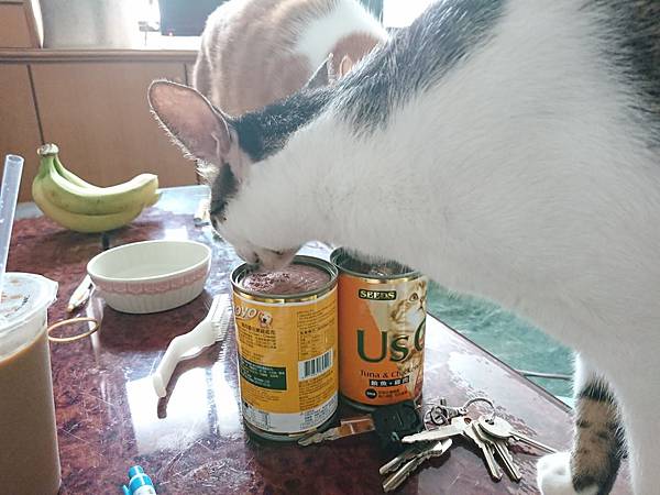 20170827 #1_170828_0064.jpg 20170827 #1_170828_0064.jpg