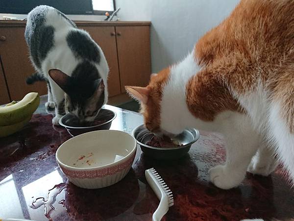 20170827 #1_170828_0061.jpg 20170827 #1_170828_0061.jpg