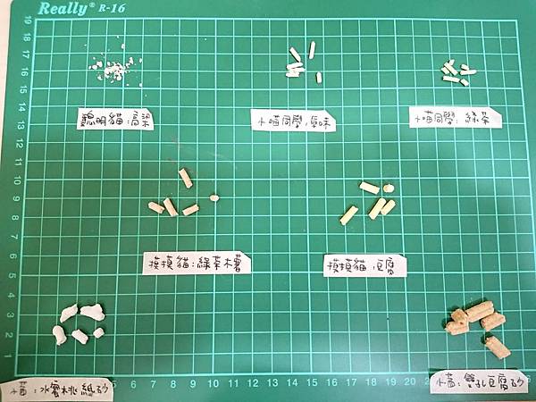 貓沙實驗_顆粒_3.jpg 貓沙實驗_顆粒_3.jpg