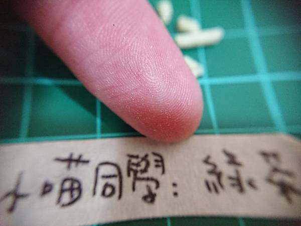 貓沙實驗_171010_0114.jpg 貓沙實驗_171010_0114.jpg