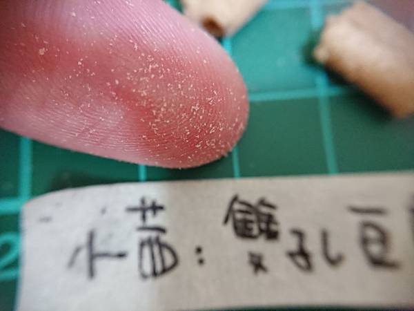 貓沙實驗_171010_0109.jpg 貓沙實驗_171010_0109.jpg