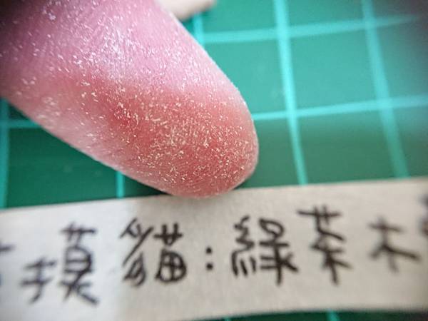 貓沙實驗_171010_0105.jpg 貓沙實驗_171010_0105.jpg