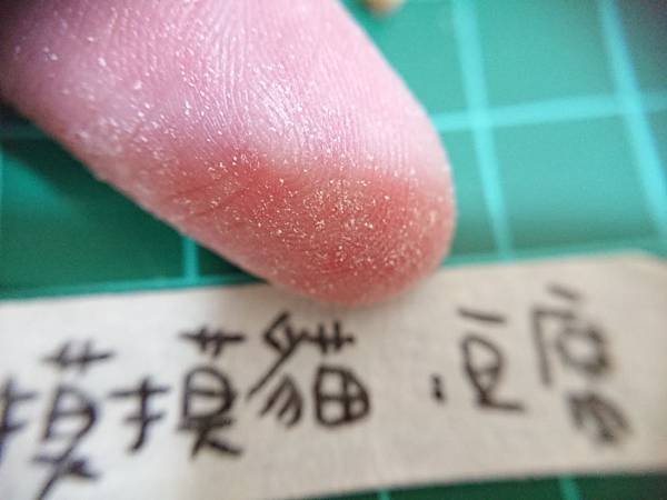 貓沙實驗_171010_0106.jpg 貓沙實驗_171010_0106.jpg