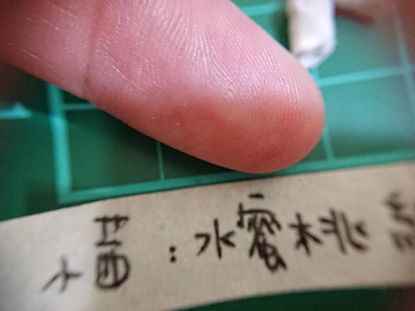 貓沙實驗_171010_0112.jpg 貓沙實驗_171010_0112.jpg