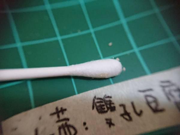 貓沙實驗_171010_0047.jpg 貓沙實驗_171010_0047.jpg