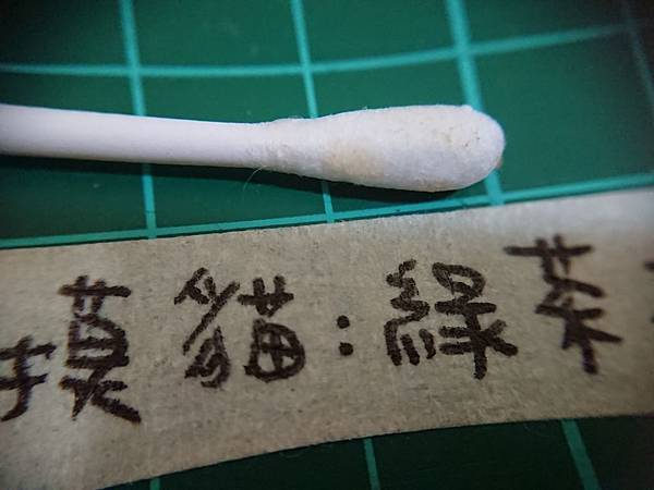 貓沙實驗_171010_0051.jpg 貓沙實驗_171010_0051.jpg