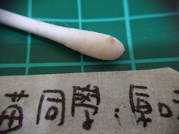 貓沙實驗_171010_0053.jpg 貓沙實驗_171010_0053.jpg