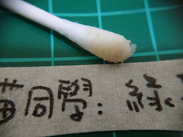 貓沙實驗_171010_0052.jpg 貓沙實驗_171010_0052.jpg