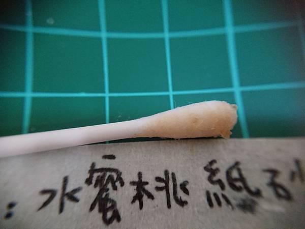 貓沙實驗_171010_0048.jpg 貓沙實驗_171010_0048.jpg