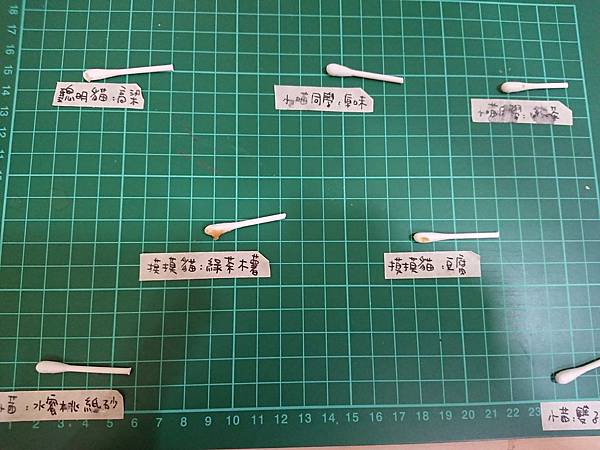 貓沙實驗_171010_0017.jpg 貓沙實驗_171010_0017.jpg