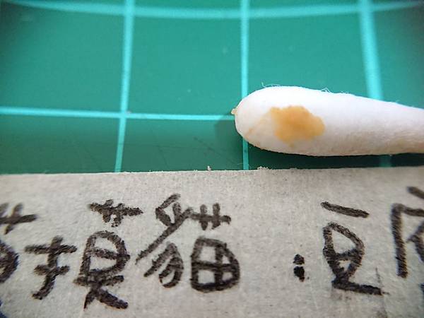 貓沙實驗_2-1.jpg 貓沙實驗_2-1.jpg