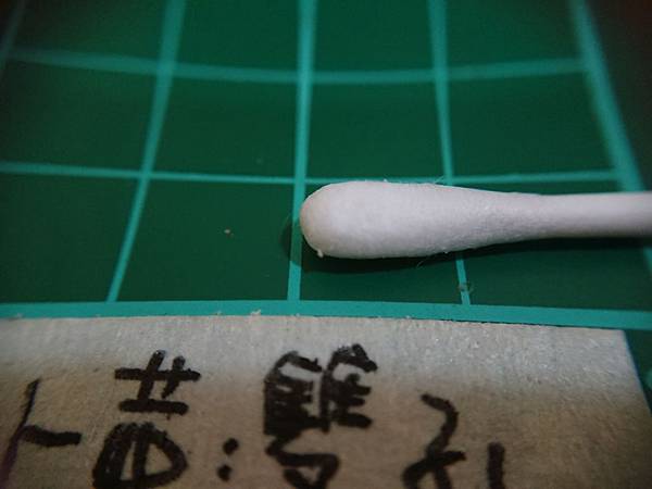 貓沙實驗_2-3.jpg 貓沙實驗_2-3.jpg