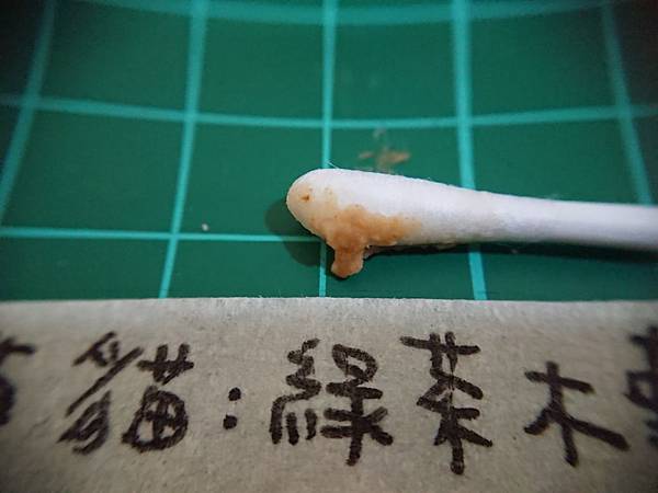 貓沙實驗_2-4.jpg 貓沙實驗_2-4.jpg