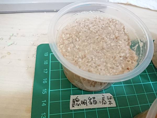 貓沙實驗_171010_0027.jpg 貓沙實驗_171010_0027.jpg