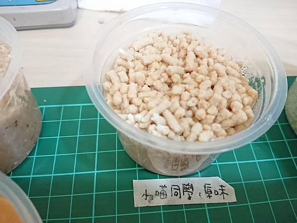 貓沙實驗_171010_0024.jpg 貓沙實驗_171010_0024.jpg