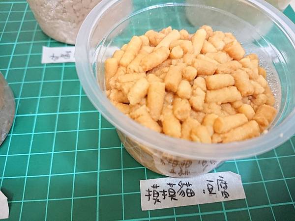 貓沙實驗_171010_0021.jpg 貓沙實驗_171010_0021.jpg