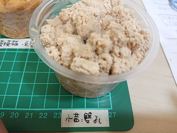 貓沙實驗_171010_0019.jpg 貓沙實驗_171010_0019.jpg