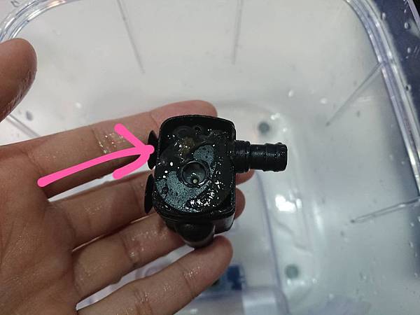 208181.jpg 208181.jpg