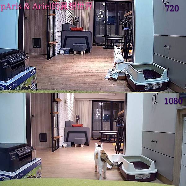 223691.jpg 223691.jpg