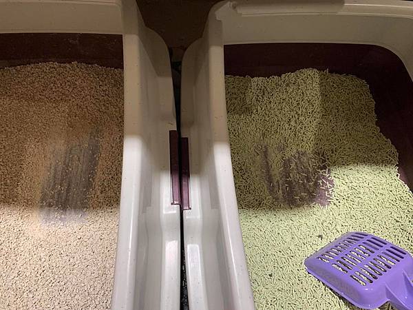 52001780_371601026955217_7842790228740800512_n.jpg 52001780_371601026955217_7842790228740800512_n.jpg