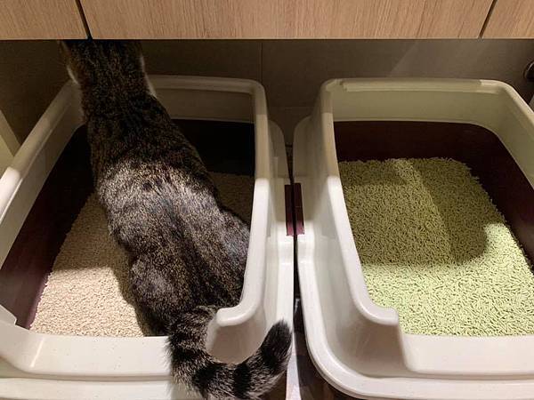 50763263_1980496635380525_7820074992820813824_n.jpg 50763263_1980496635380525_7820074992820813824_n.jpg