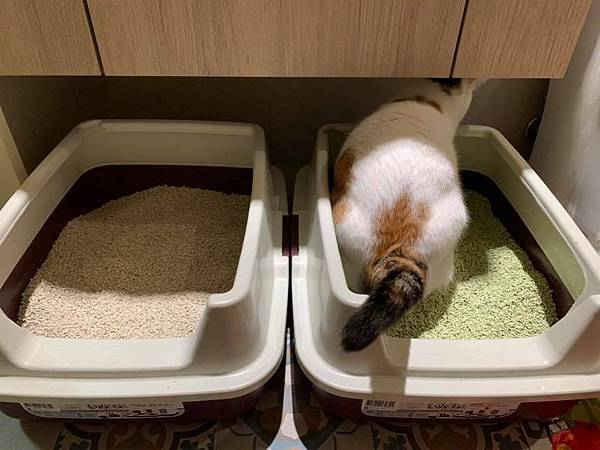 50920078_1980496675380521_4613341346067906560_n.jpg 50920078_1980496675380521_4613341346067906560_n.jpg