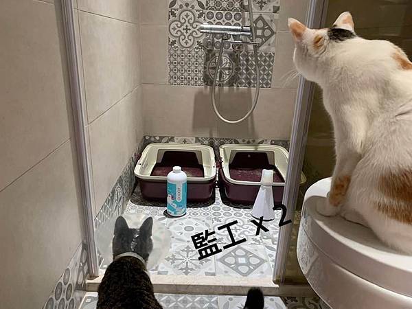 53276082_2040627842700737_7300272547143090176_n.jpg 53276082_2040627842700737_7300272547143090176_n.jpg