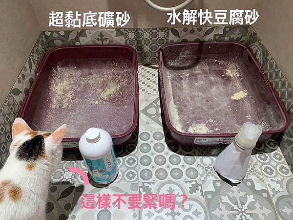 53250635_2040627856034069_3699818866113773568_n.jpg 53250635_2040627856034069_3699818866113773568_n.jpg