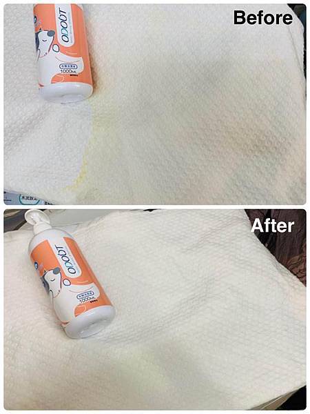 54523299_2040627812700740_6313940175269396480_n.jpg 54523299_2040627812700740_6313940175269396480_n.jpg