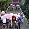 冷颼颼的雨天