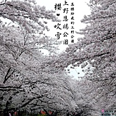 上野恩賜公園櫻吹雪