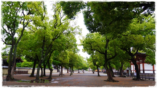 京都的象徵東寺五重塔