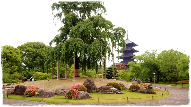 京都的象徵東寺五重塔