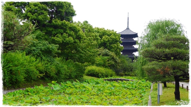 京都的象徵東寺五重塔