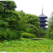 京都的象徵東寺五重塔