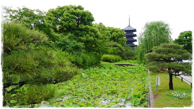 京都的象徵東寺五重塔