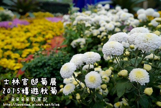 【台北◍•ᴗ•◍士林】賞花・2015士林官邸菊展 嬉遊秋菊|可愛猴子花卉造景,重現西遊記場景 @ (◍•ᴗ•◍)❤槑槑散策記▷◁。・・。)→呆呆呆呆散策記✿(。☌ᴗ☌。)台灣、日本美食旅遊散步紀錄 :: 痞客邦 PIXNET ::