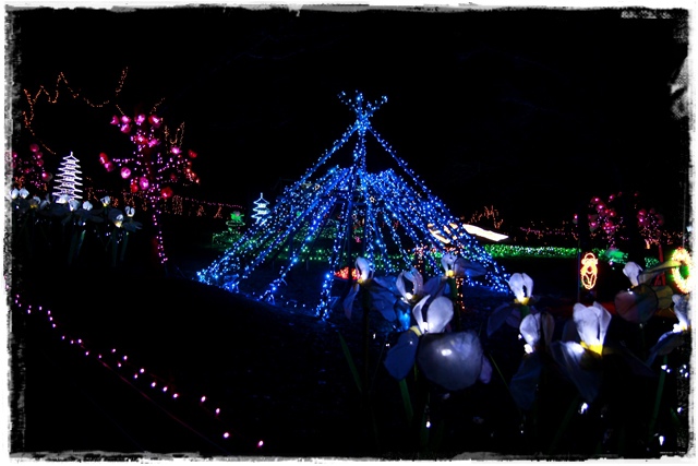 京都聖誕節裝飾城陽市總合運動公園