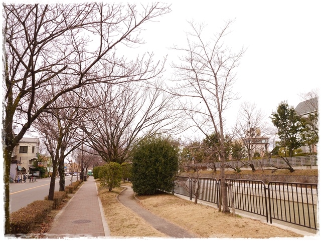 京都岡崎 蔦屋書店 京都岡崎 蔦屋書店