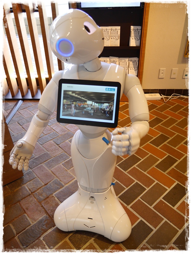 京都岡崎 蔦屋書店 京都岡崎 蔦屋書店