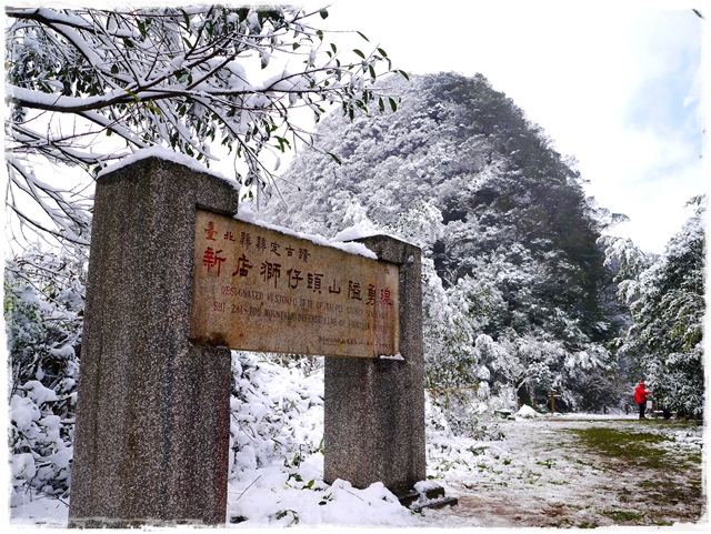 新店獅仔頭山。賞櫻與雪