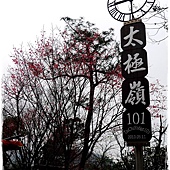 太極嶺賞櫻