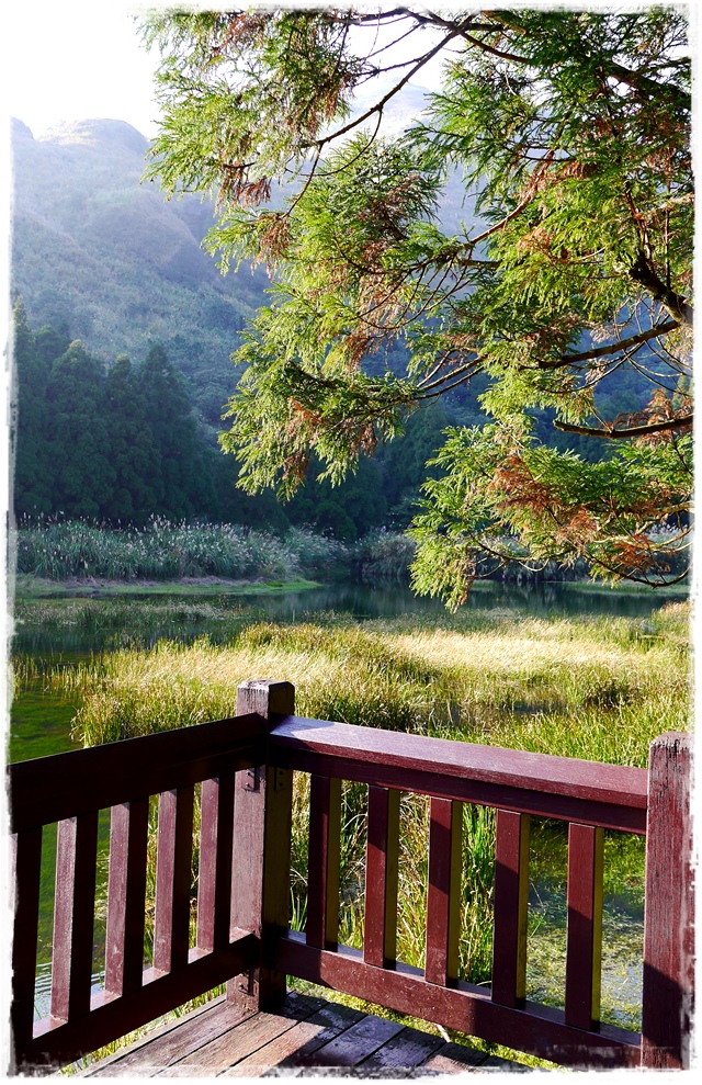 陽明山夢幻湖