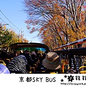 京都期間限定SKY BUS賞楓