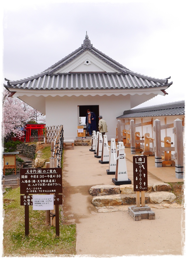 靜岡濱松城公園賞櫻