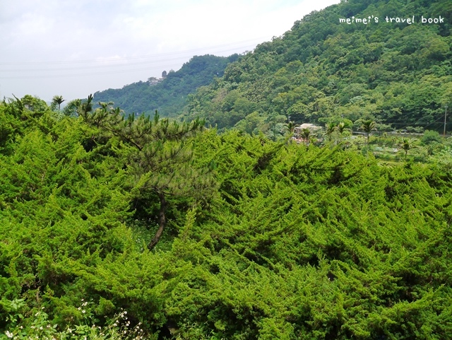 貓空茶香環狀步道 壺穴吊橋 茶展中心