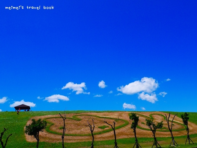 11隻miffy米飛兔八里文化公園