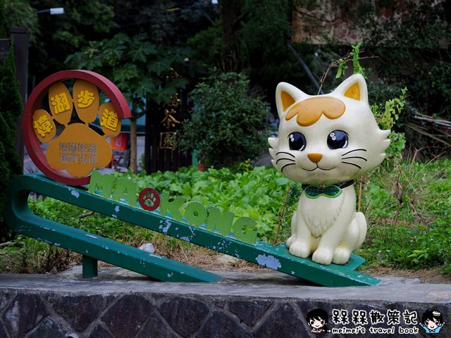 樟樹步道繽紛花季貓空閃閃淚光魯冰花 樟樹步道繽紛花季貓空閃閃淚光魯冰花
